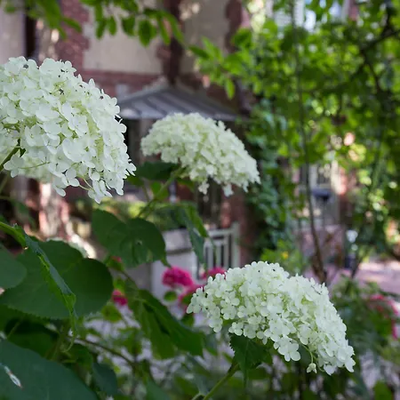 La Maison Du Parc 4*